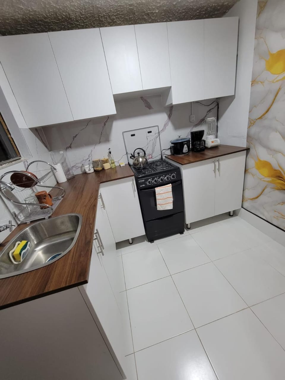 Kitchen or kitchenette, dishwasher, oven, stove