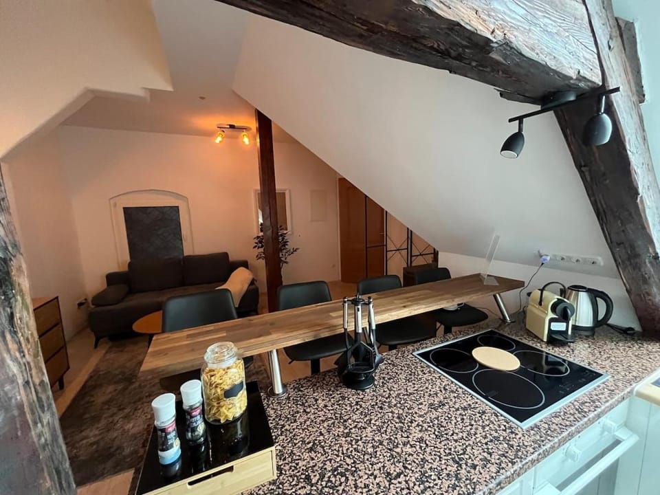 Modernes Loft mit Holzbalken und Charme Apartment in Saxony