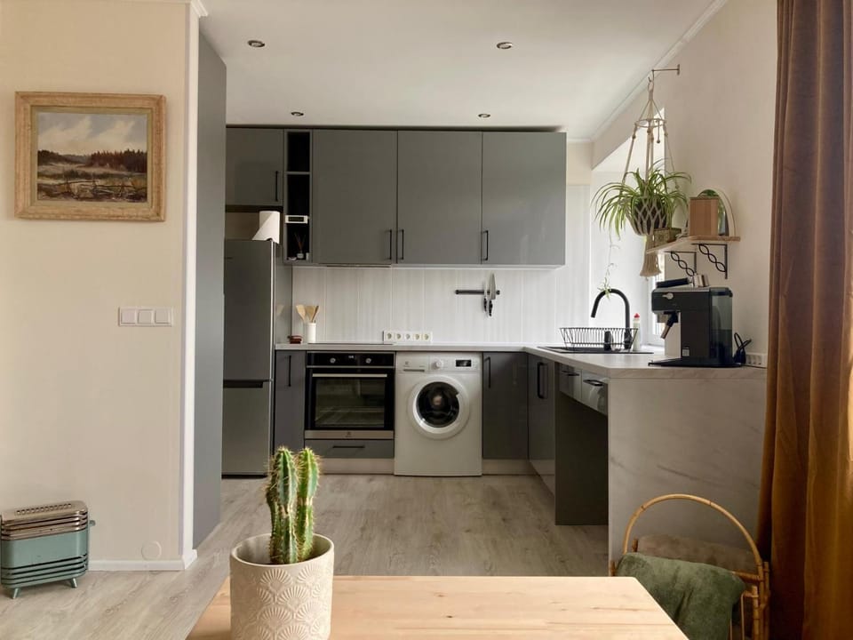 Kitchen or kitchenette, oven, stove, washing machine