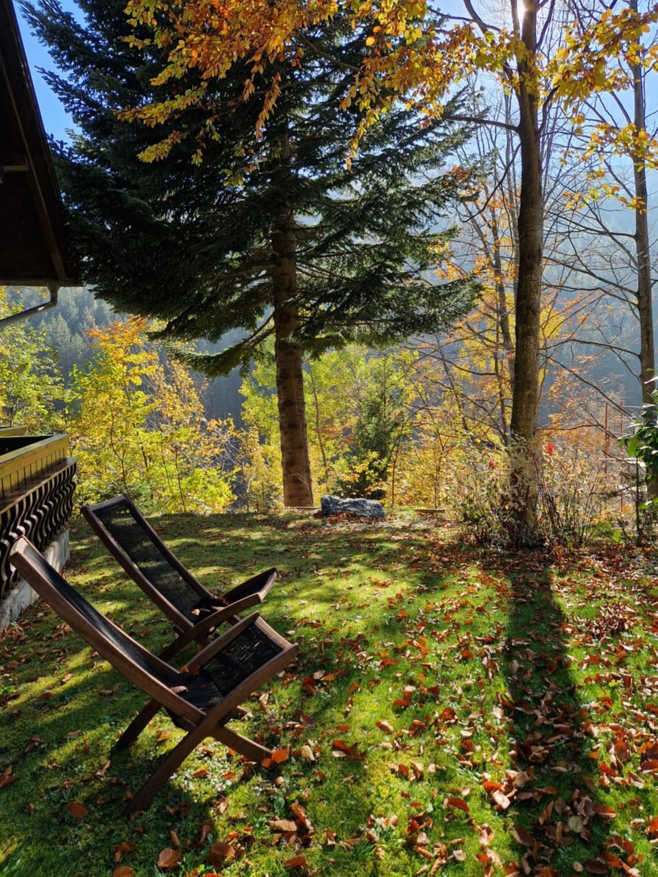 Garden view