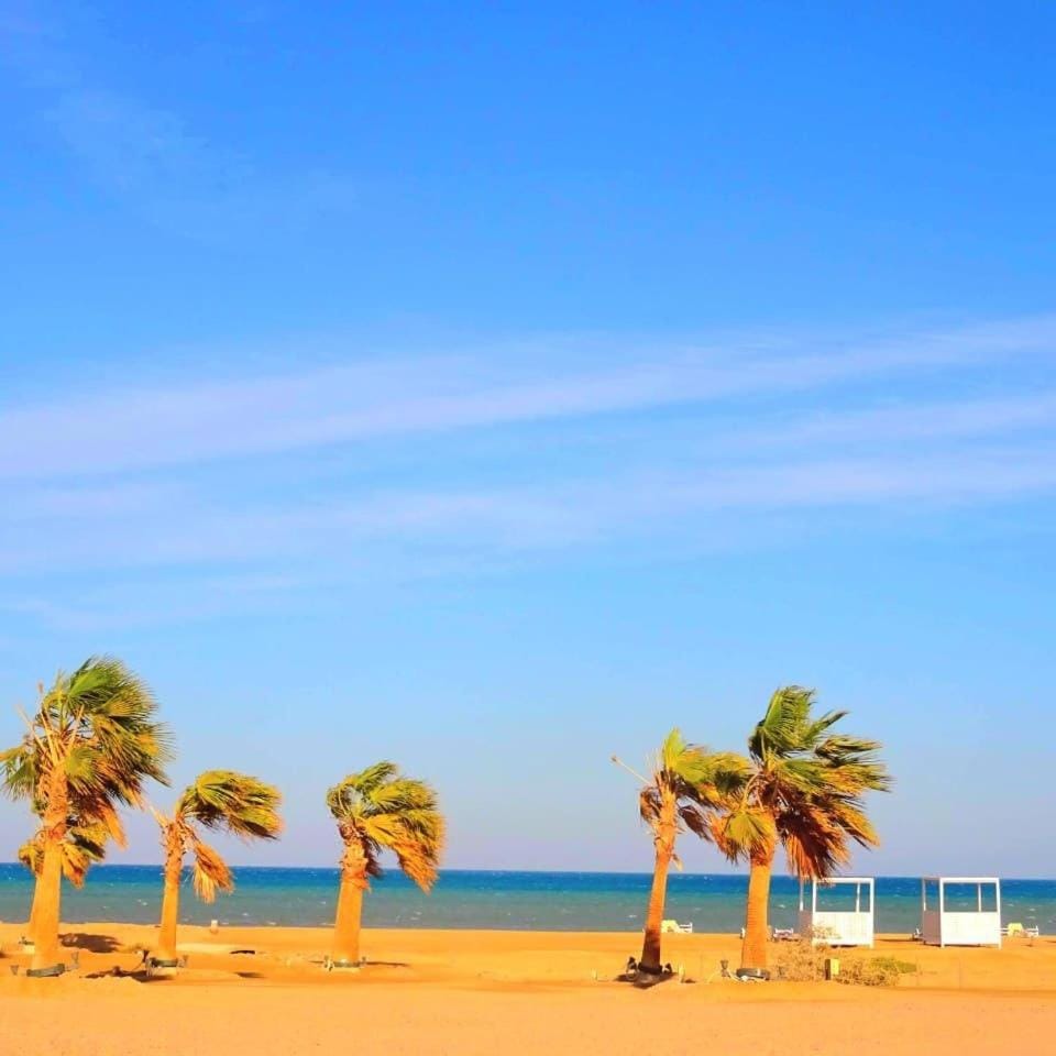 Day, People, Natural landscape, Beach, Sea view, group of guests