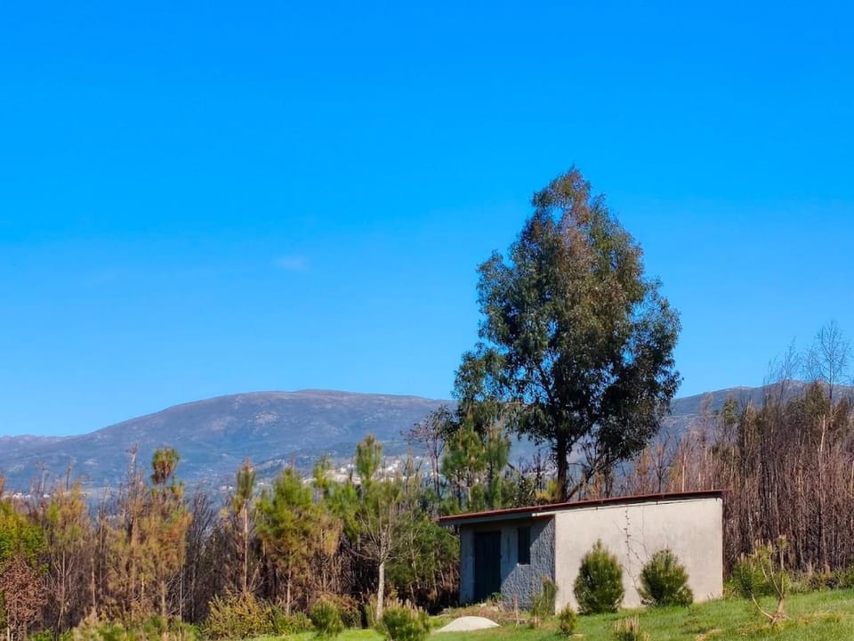 Day, Mountain view