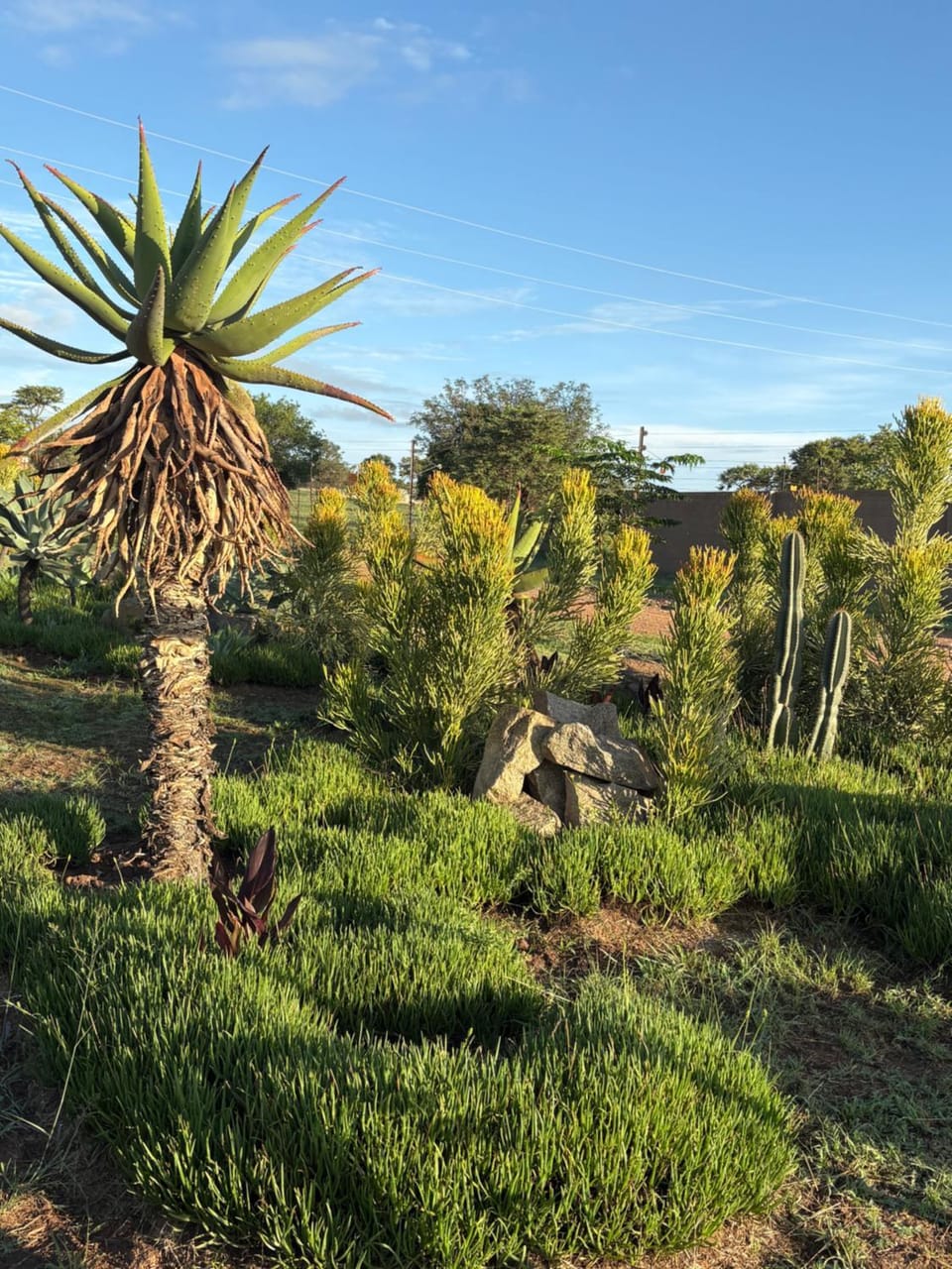 Natural landscape