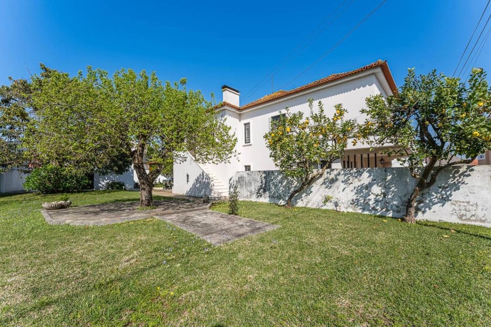 Property building, Garden, Garden view