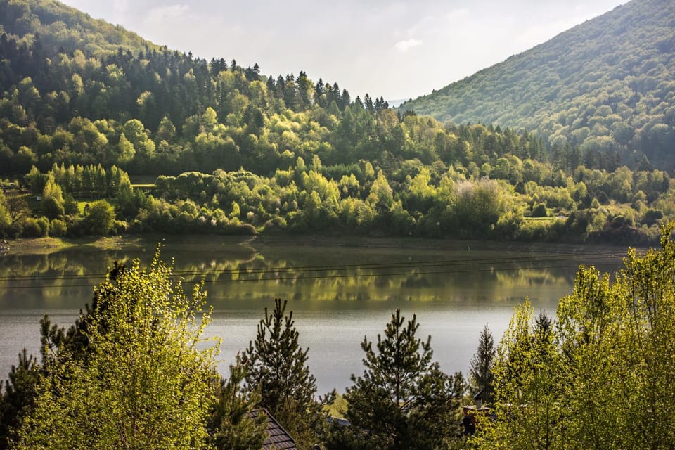 Lake view