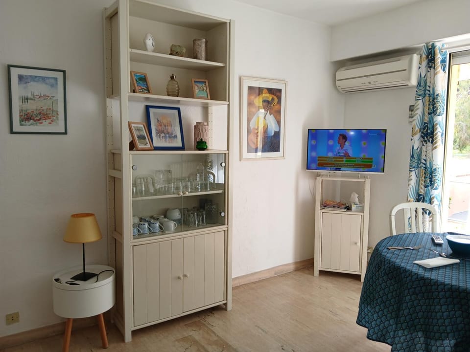 TV and multimedia