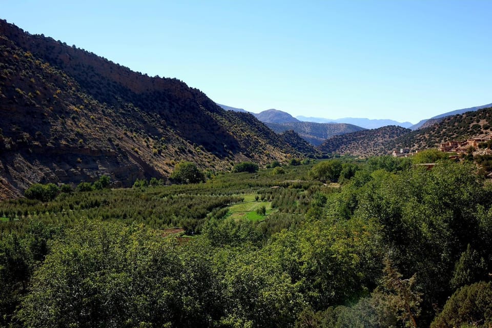 View (from property/room)