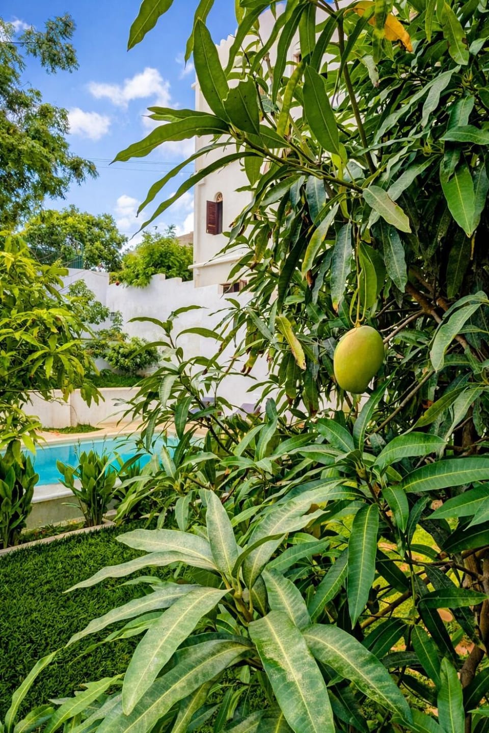 Garden view, Swimming pool