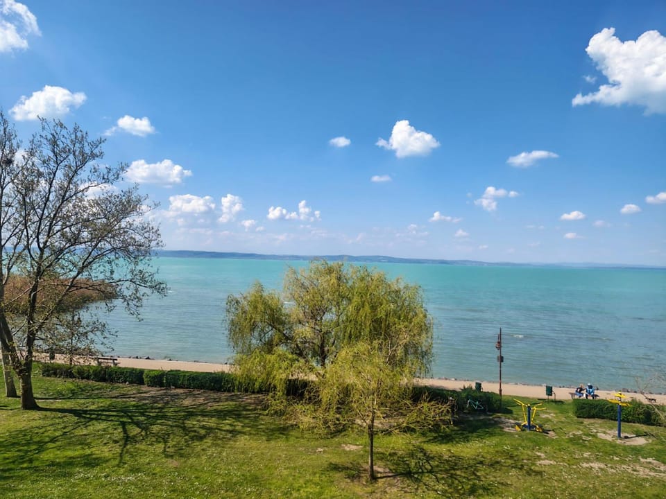 View (from property/room)