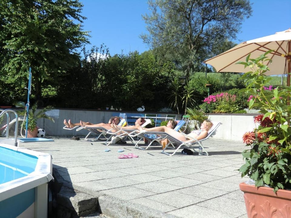Garden, Swimming pool