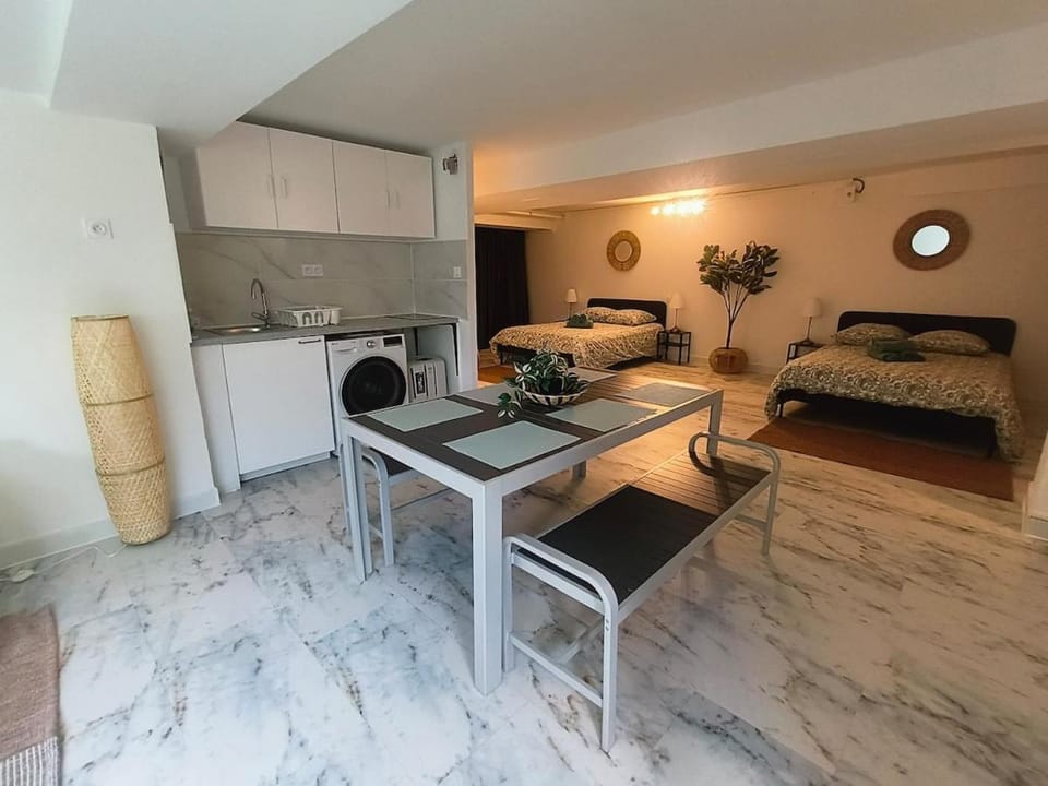 Rare! spacieux loft de 6 couchages, accès direct Monaco Apartment in Monaco