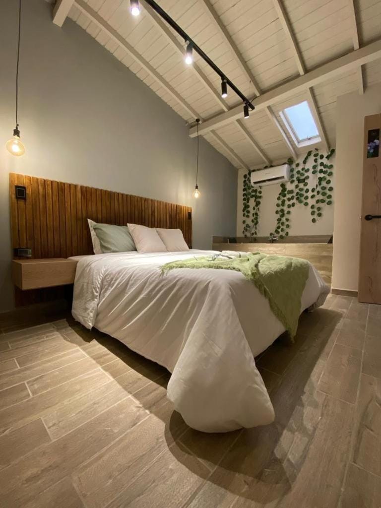 Boro House 6BR 4Jacuzzis in Laureles Medellin Villa in Medellin