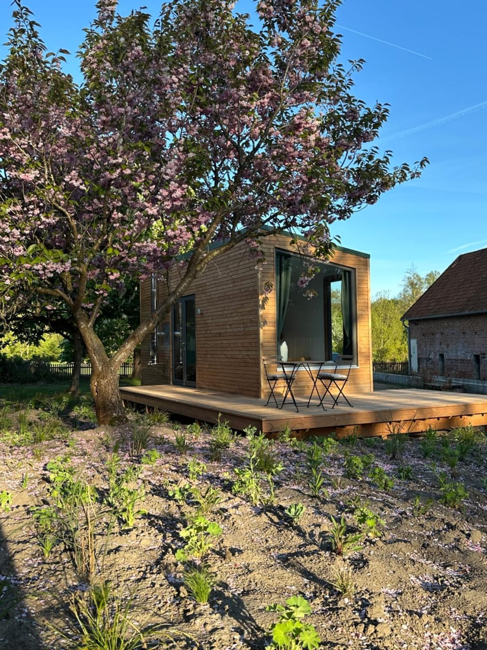 Property building, Garden, Garden view