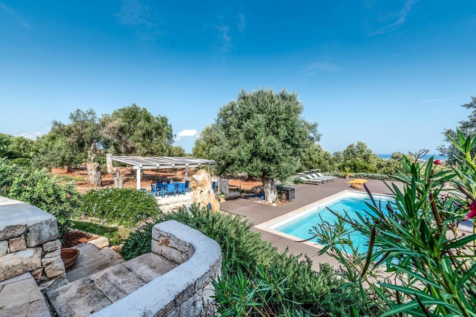 Pool view, Swimming pool