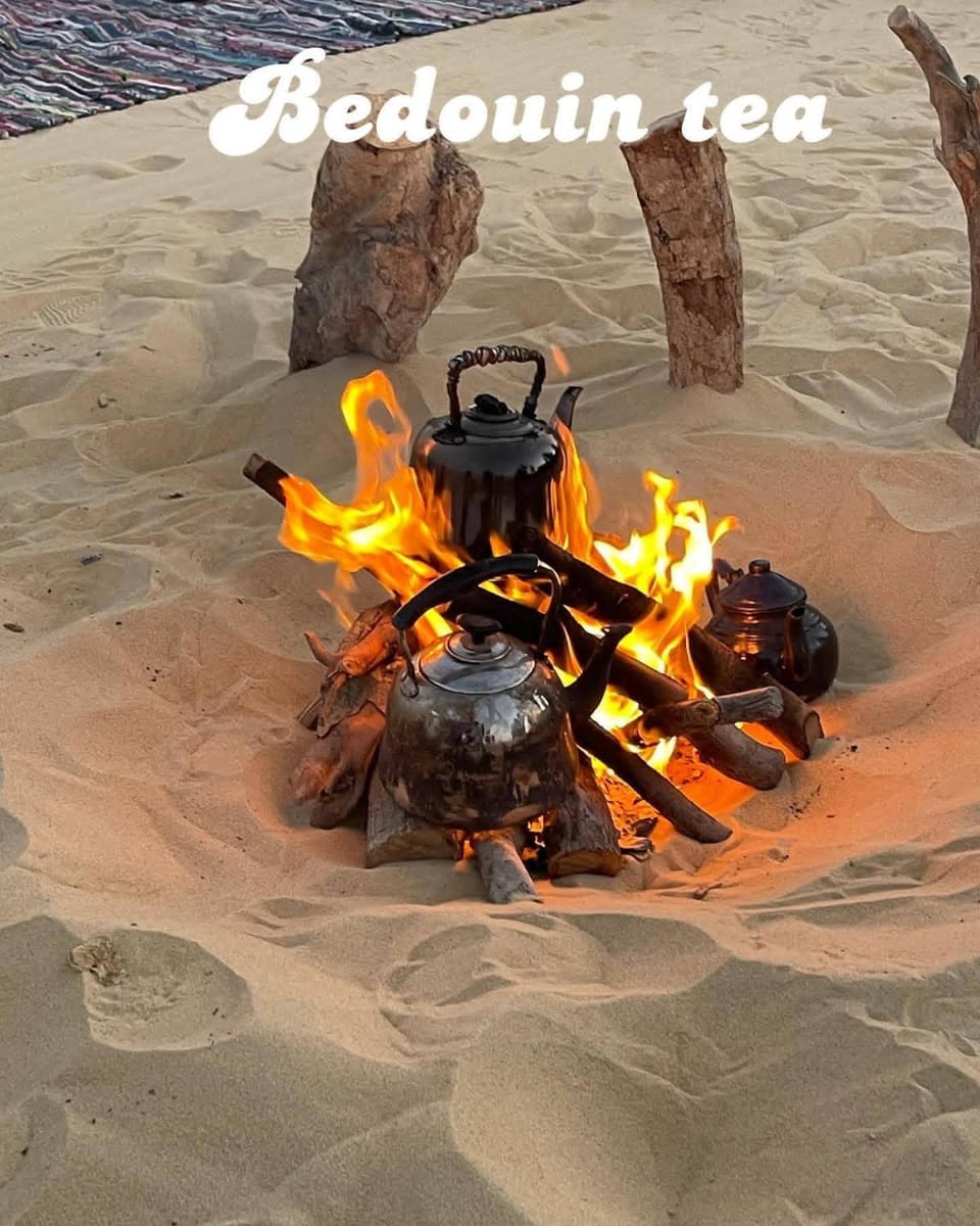 Safarova Tours Nature lodge in Egypt