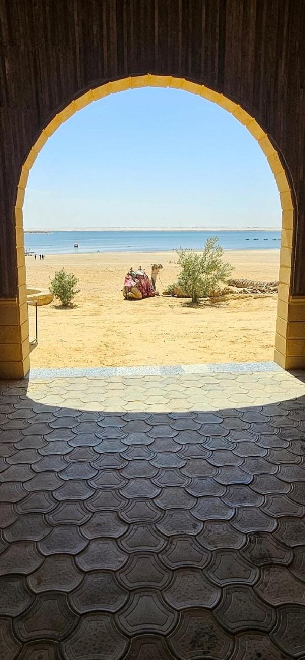 safarova tours Resort in Egypt