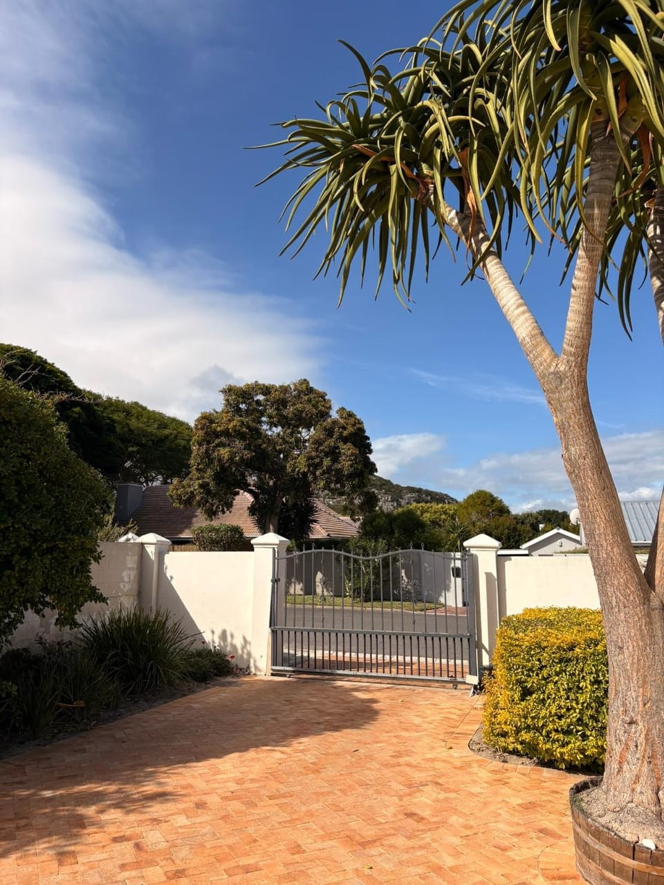 Garden view