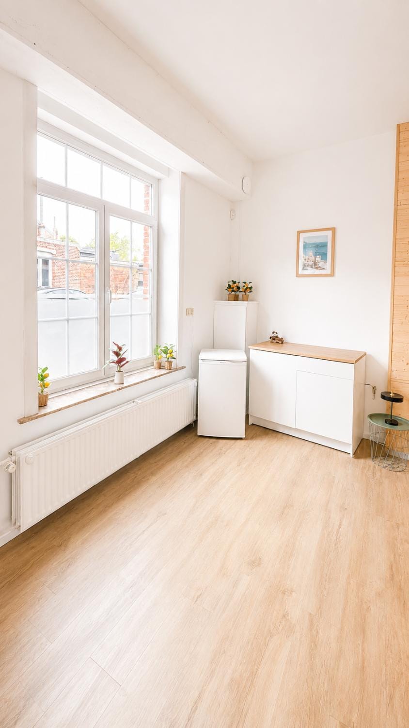 Daubresse 85 B Centre Gare Airport Apartment in Charleroi