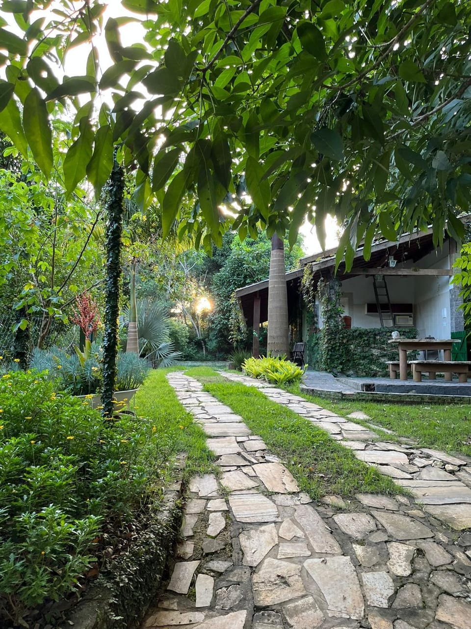 Garden, Kitchen or kitchenette