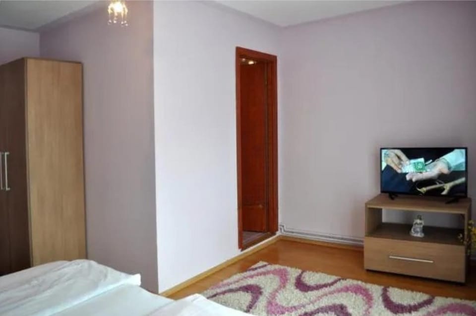 Casa Denis Bed and Breakfast in Brașov County