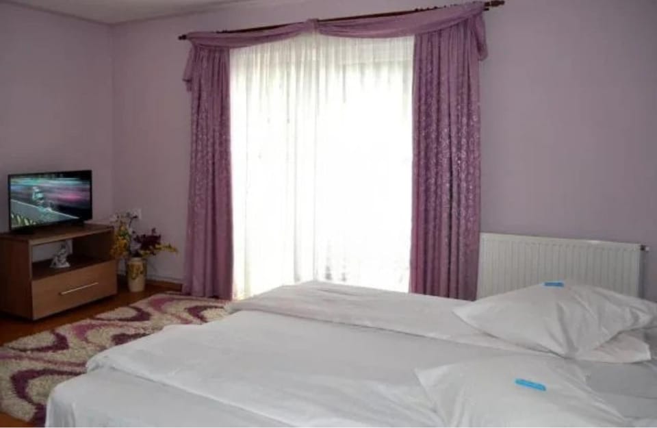 Casa Denis Bed and Breakfast in Brașov County