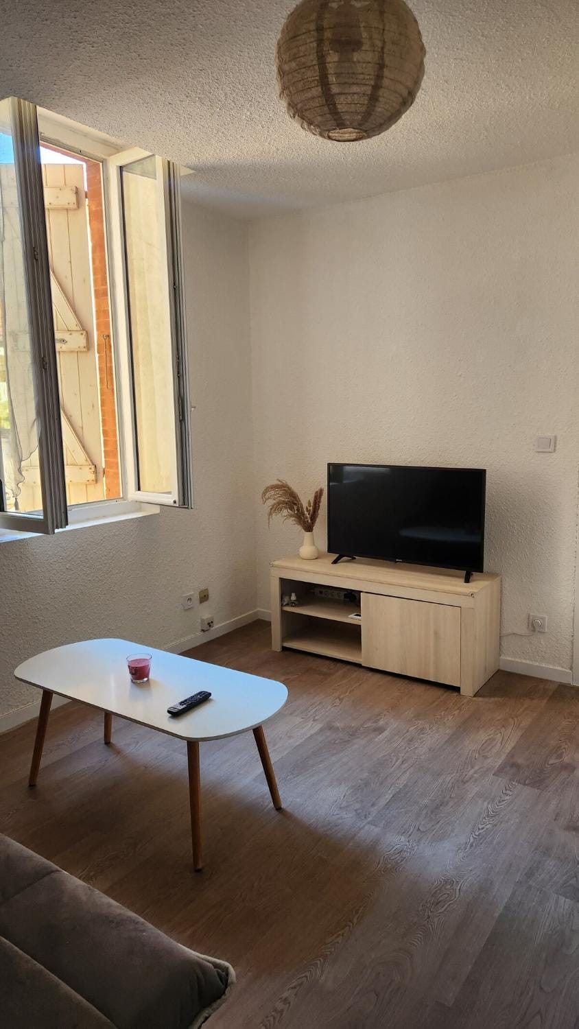 La Rose Toulousaine - Fully equipped 2-bedroom 3person - City center Apartment in Toulouse
