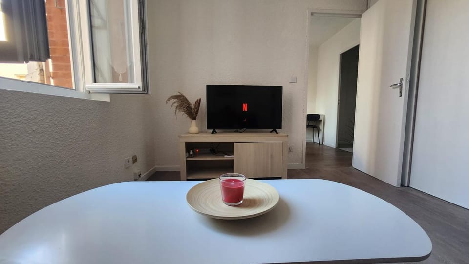 La Rose Toulousaine - Fully equipped 2-bedroom 3person - City center Apartment in Toulouse