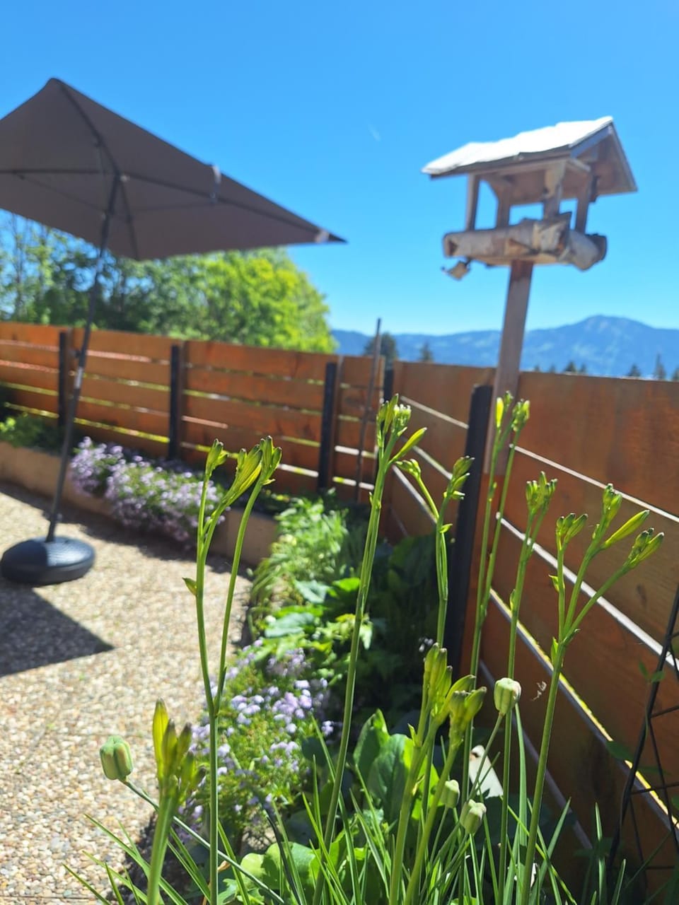 Garden, Balcony/Terrace, Mountain view