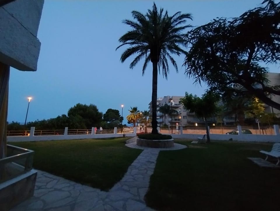 Garden, Garden view