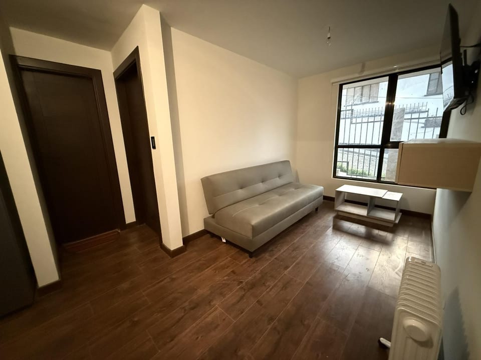 Cómodo departamento con hermosa vista en Sopocachi Apartment in La Paz