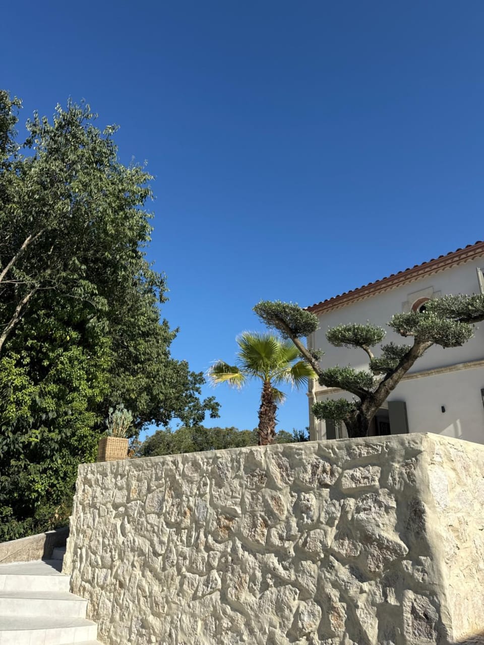 Garden view