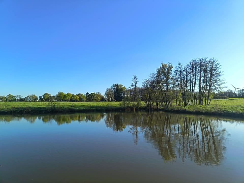 Spring, Day, Natural landscape, Lake view