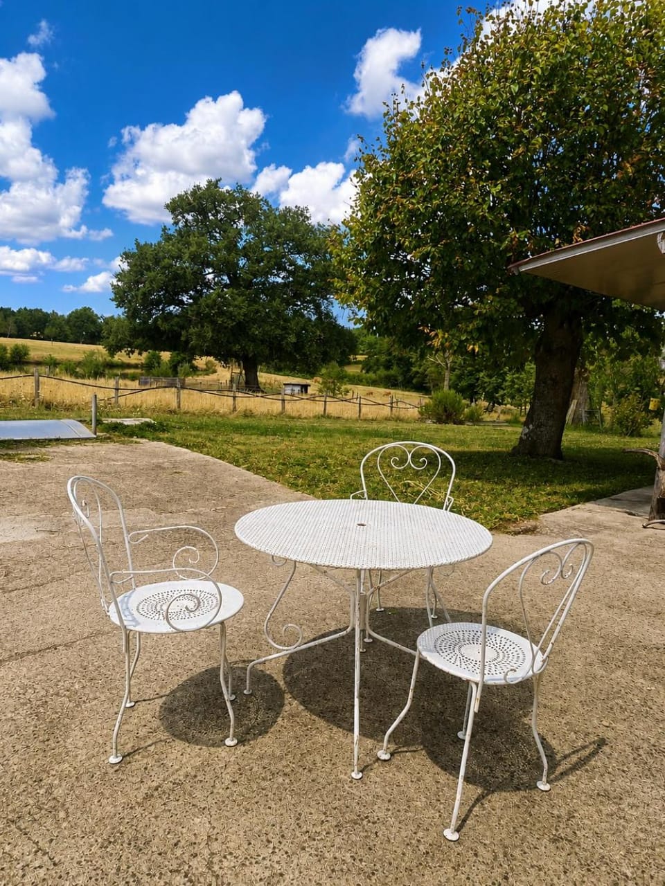Patio, Spring, Day, Natural landscape, Garden, Dining area, Garden view