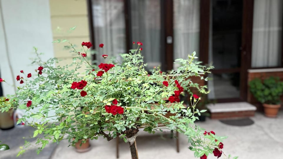 Next to Central Park Apartment in Georgia