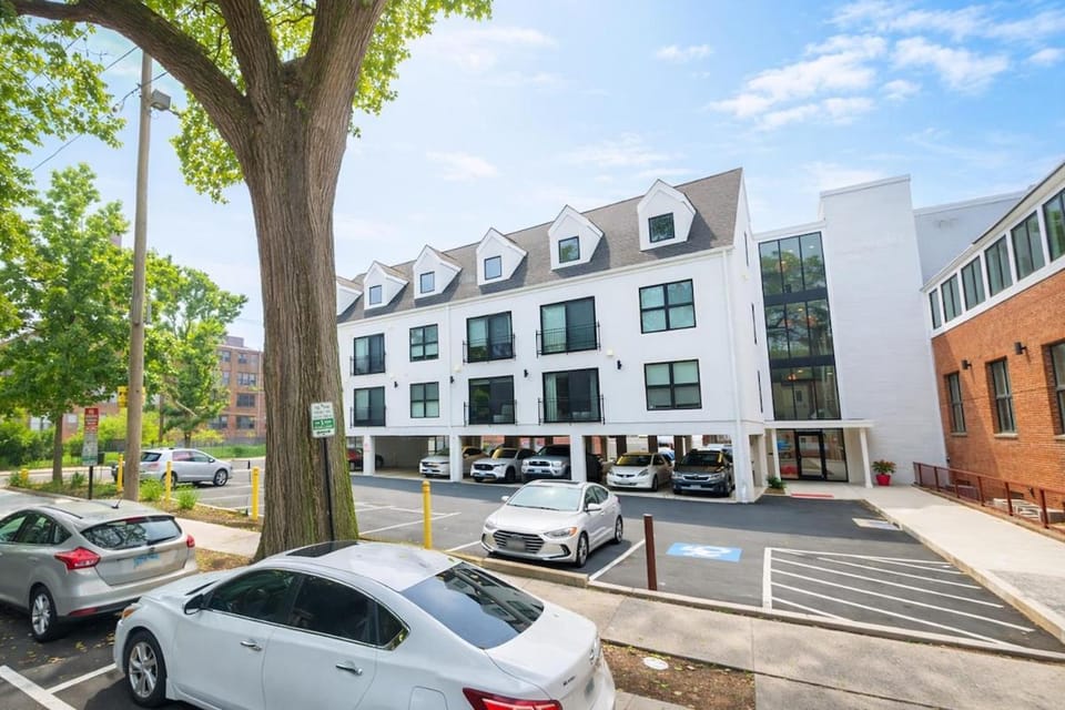 Modern Loft Near Yale Wooster Sq 5 Star Location Apartment in New Haven