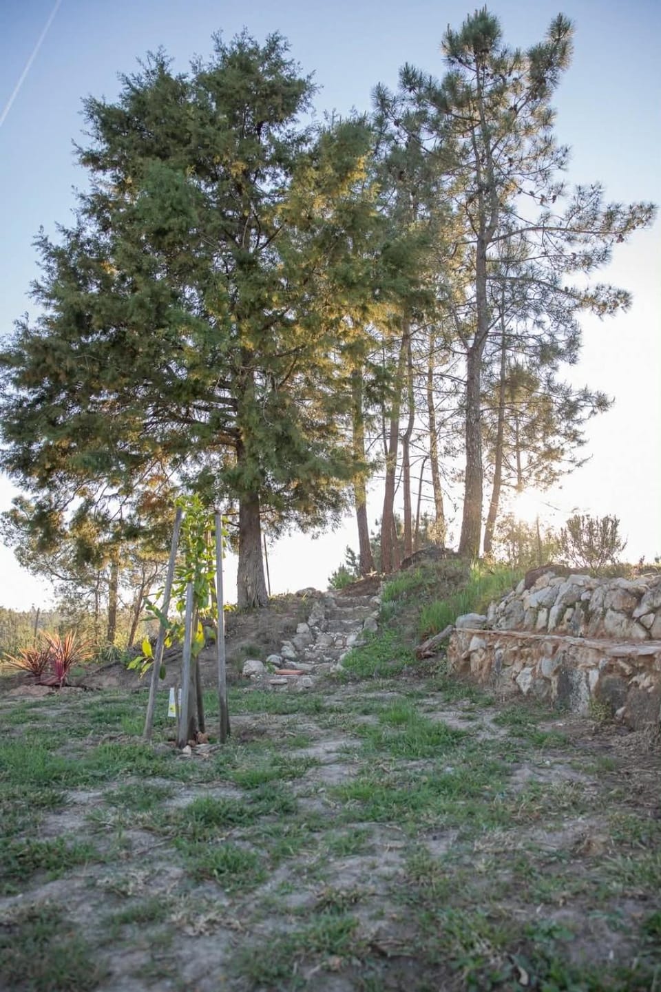 Natural landscape