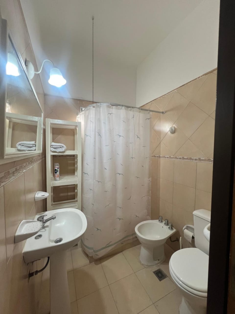 Departamento céntrico en Luján Apartment in Luján