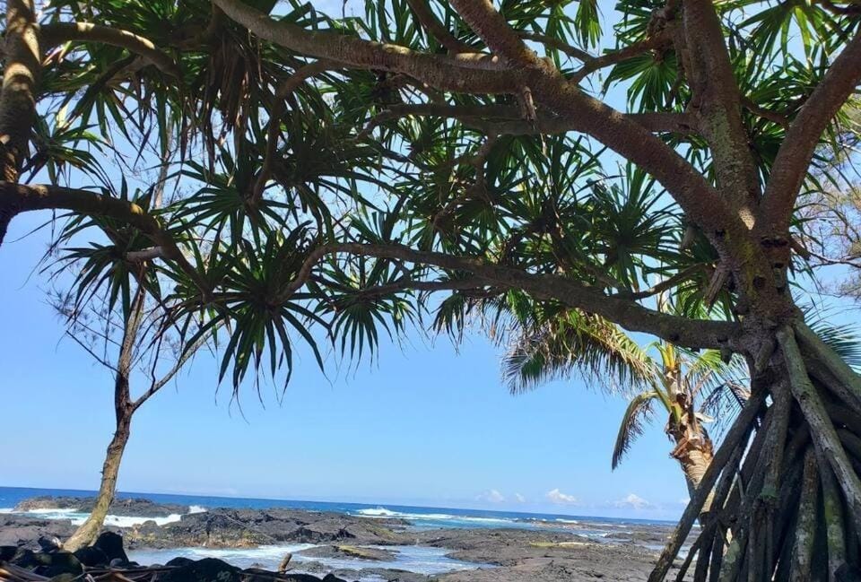 Ocean View Balcony • 2BR • Near Beach & Downtown Apartment in Hilo