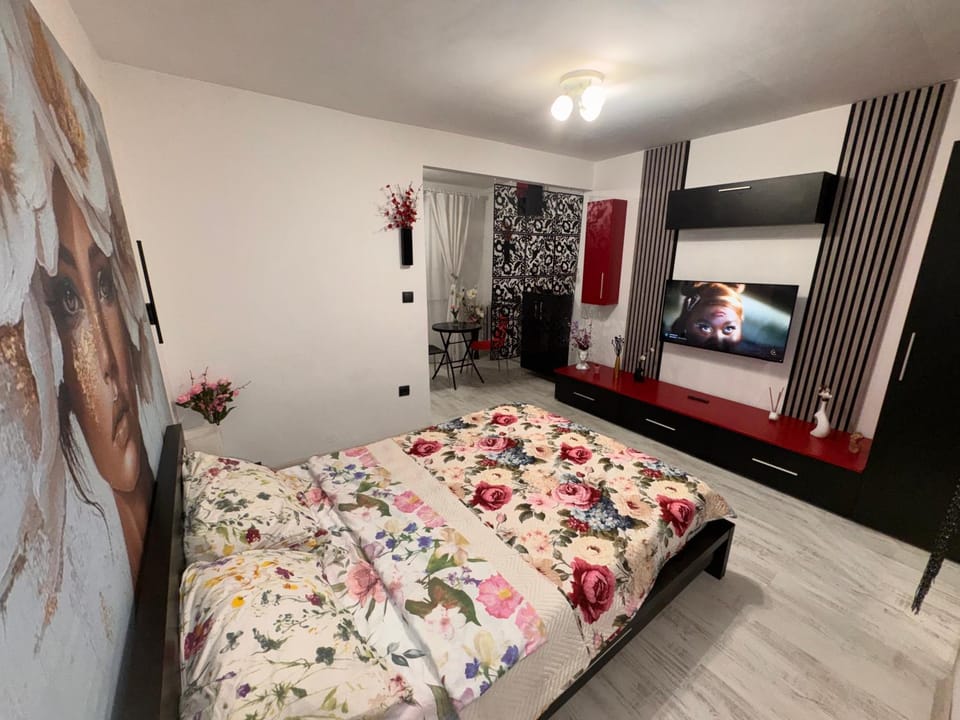 Studio Mirabela Apartment in Craiova