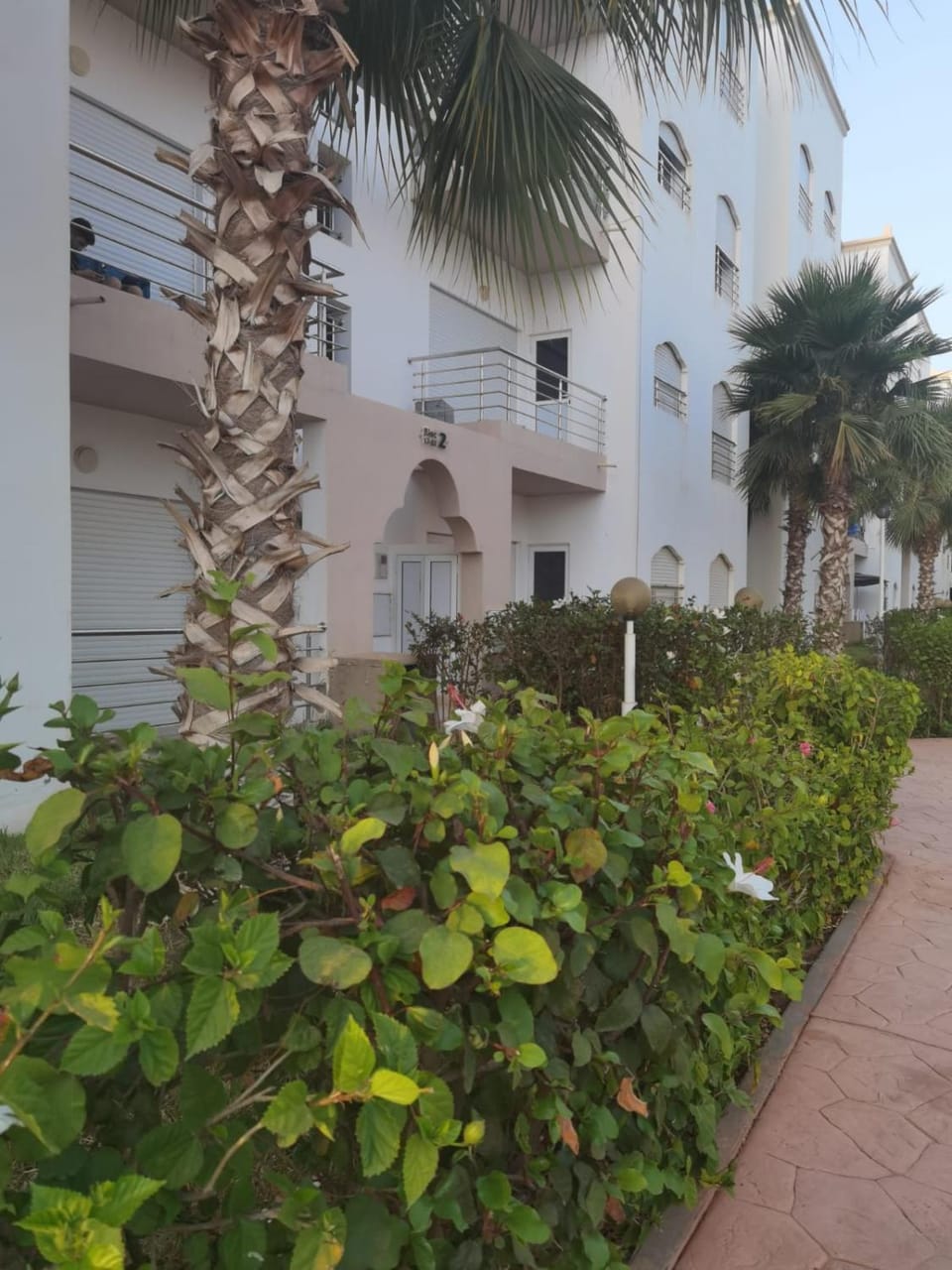 Garden view