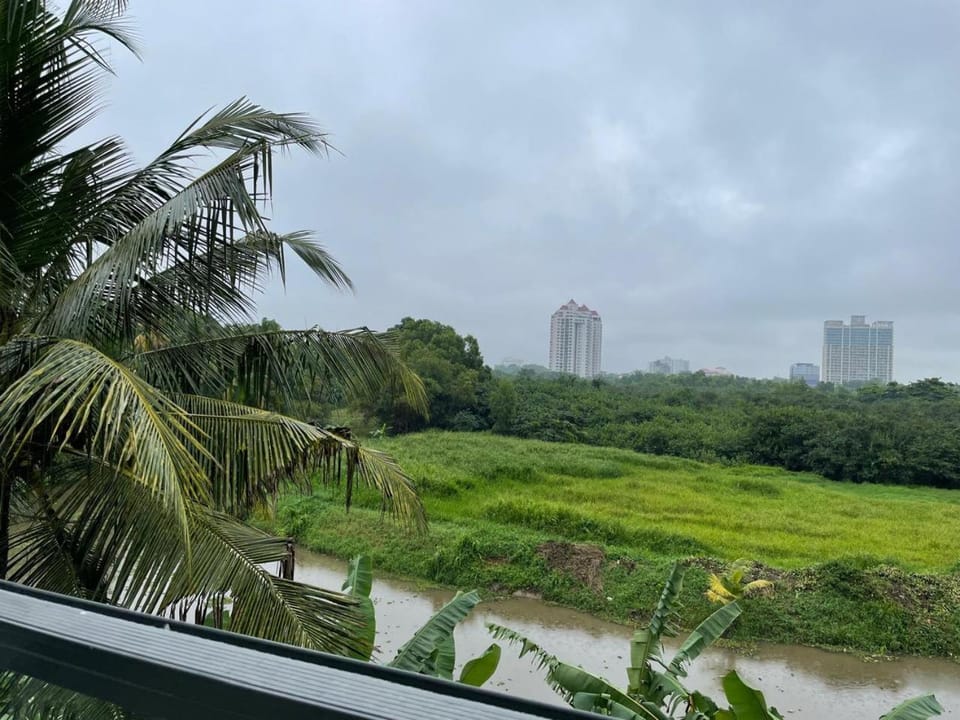 Natural landscape, Garden, City view