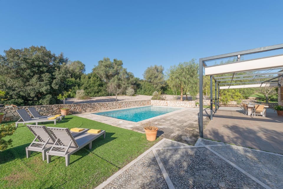 Garden, Swimming pool, sunbed