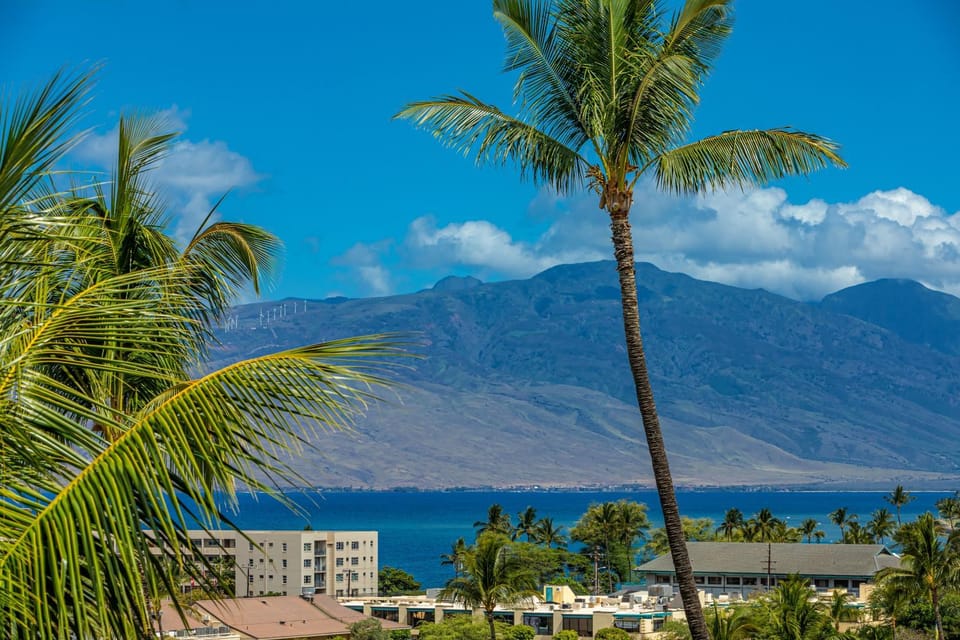 Kihei Akahi #D-513 Oceanview, Across from Kamaole Beach ll, Great Rates Apartment in Wailea