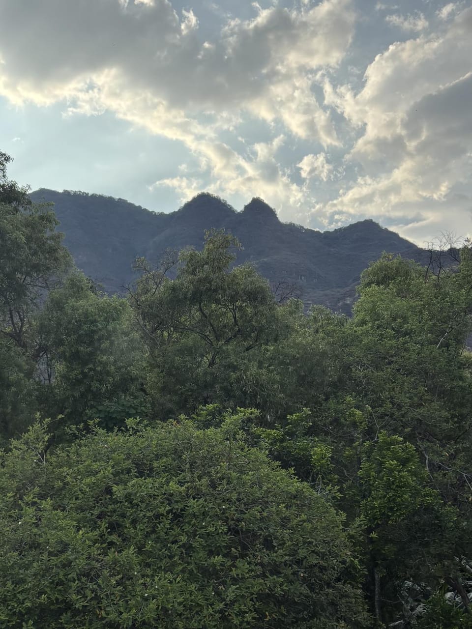 Mountain view