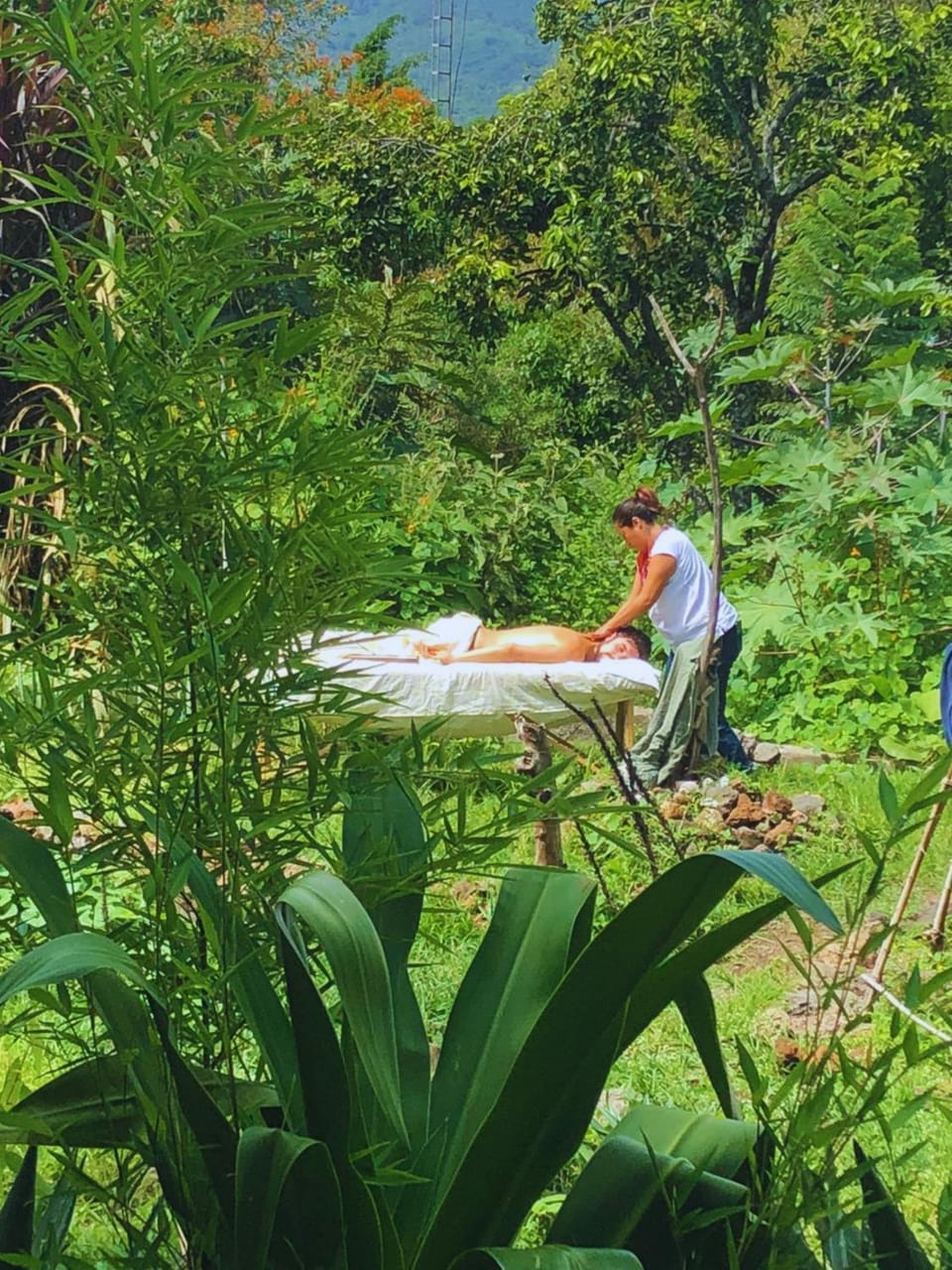 Massage, Garden view