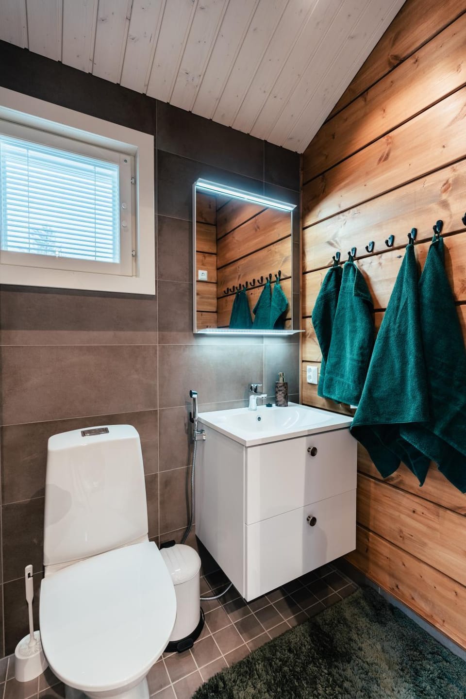 Toilet, Bathroom