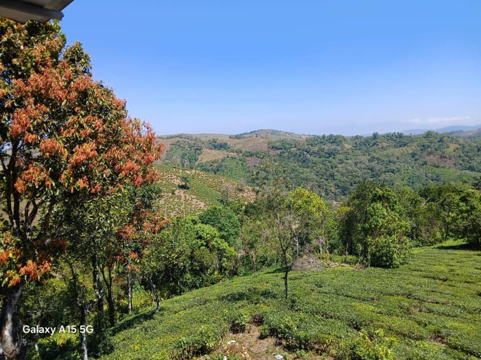 Leaf mountain view holidays rooms Vacation rental in Kerala
