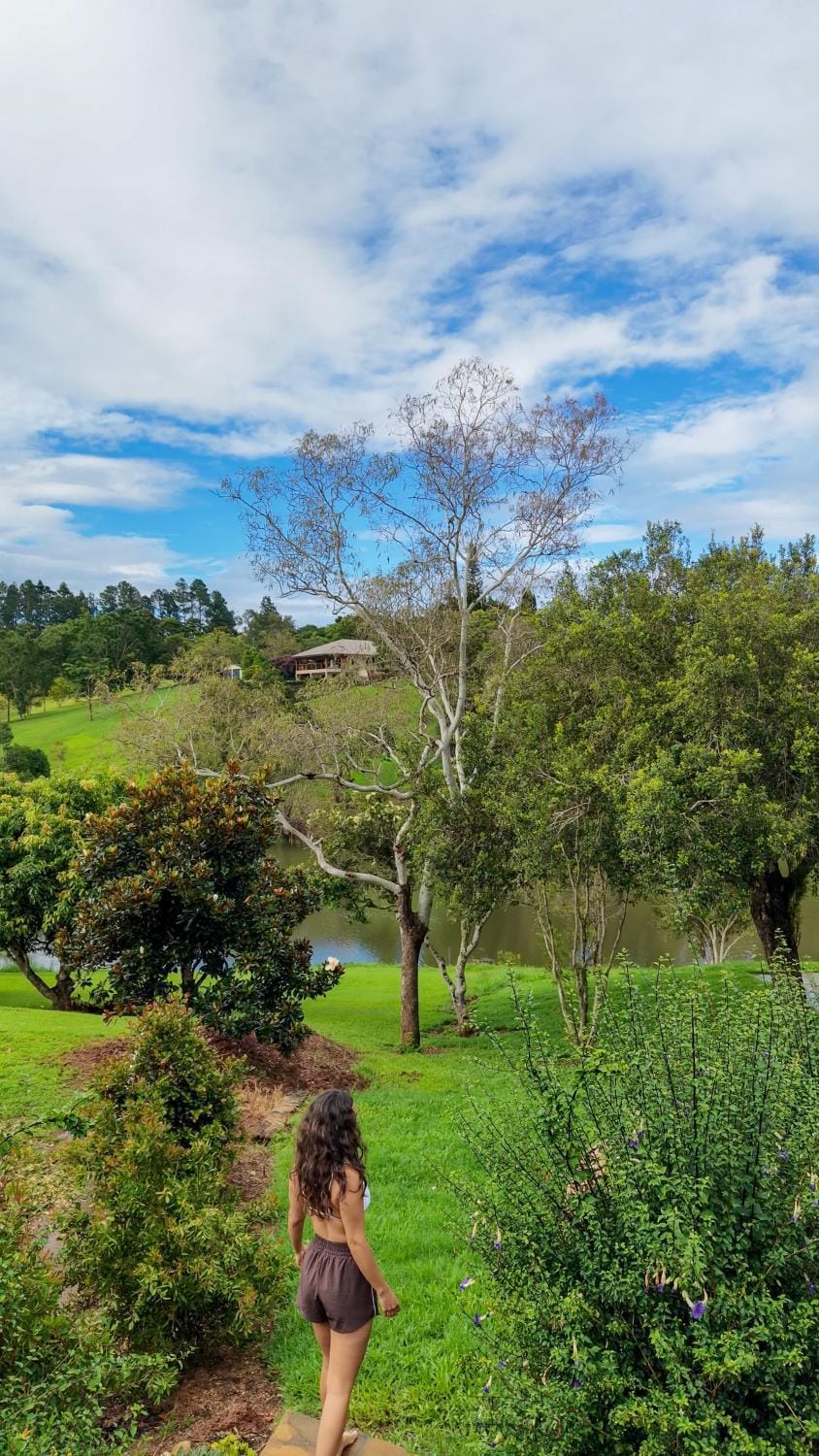 Garden view