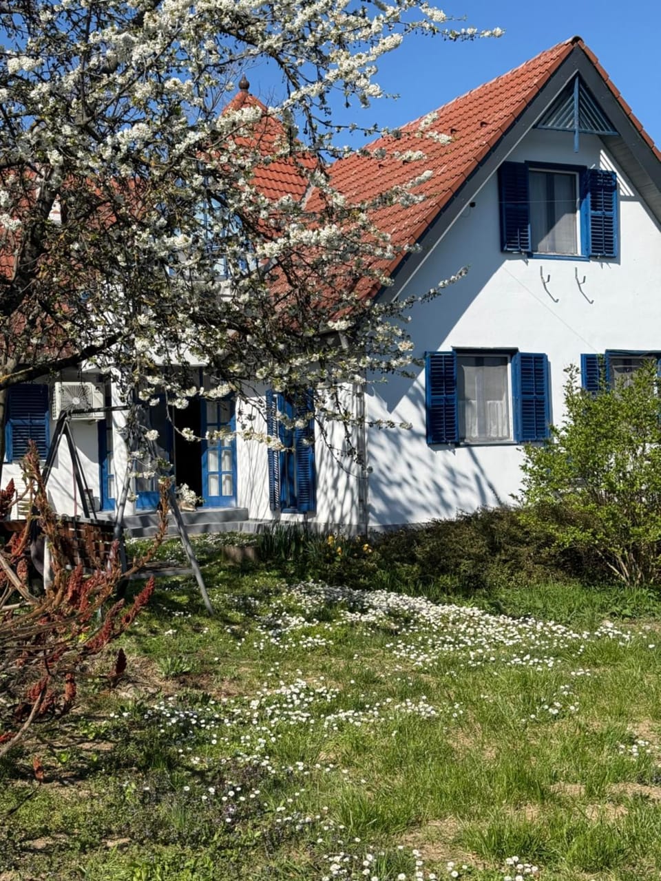 Property building, Spring, Garden