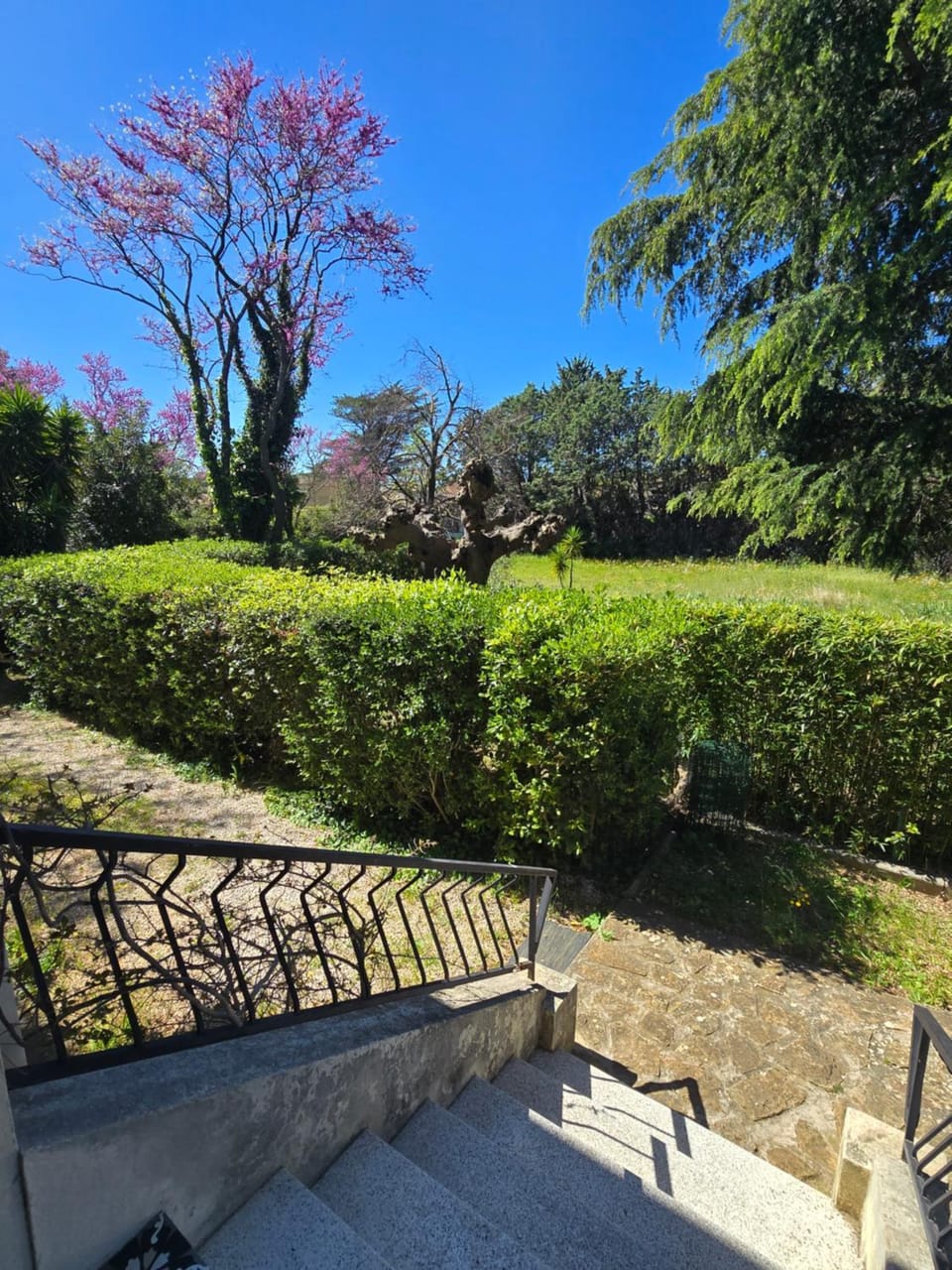 Cocon du Sud Apartment in Sanary-sur-Mer